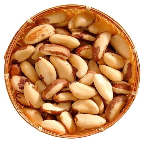 CASTANHA DO PARÁ  1KG
